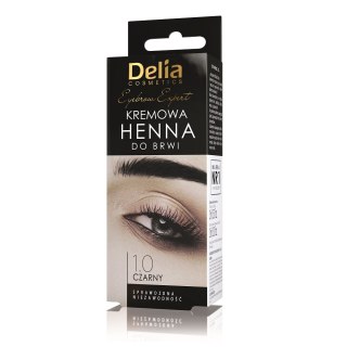 Delia Eyebrow Expert kremowa henna do brwi 1.0 Czerń 15ml (P1)