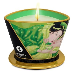 Shunga Massage Candle świeca do masażu Green Tea 170ml (P1)