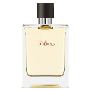 Hermes Terre D'Hermes woda toaletowa spray 100ml (P1)