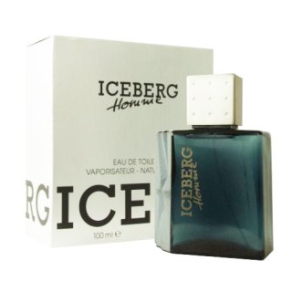 Iceberg Homme EDT 100ml (M) (P2)