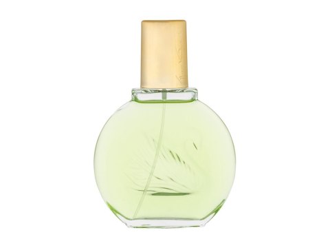 Gloria Vanderbilt Jardin a New York Eau Fraîche 100 ml (W) (P2)