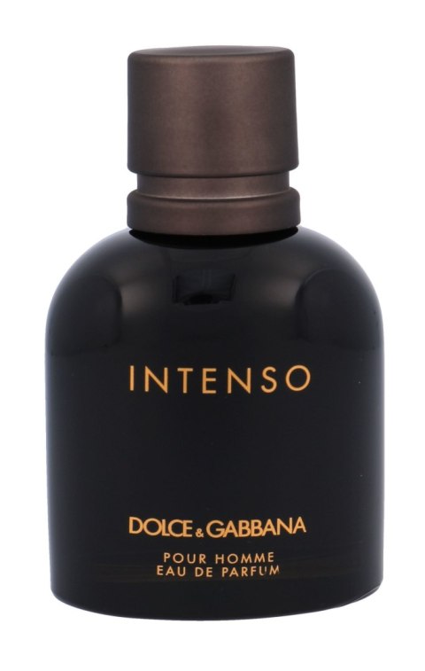 DolceGabbana Pour Homme Intenso EDP 75ml (M) (P2)