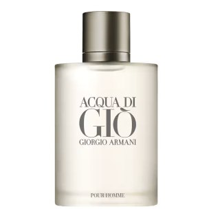 Giorgio Armani Acqua di Gio Pour Homme EDT 100ml (P1)