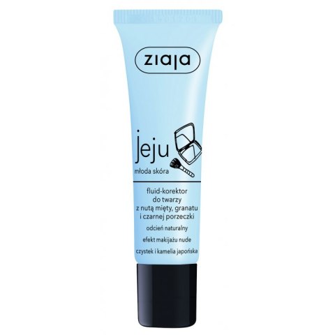 Ziaja Jeju fluid-korektor do twarzy z nutą mięty granatu i czarnej porzeczki Odcień Naturalny 30ml (P1)